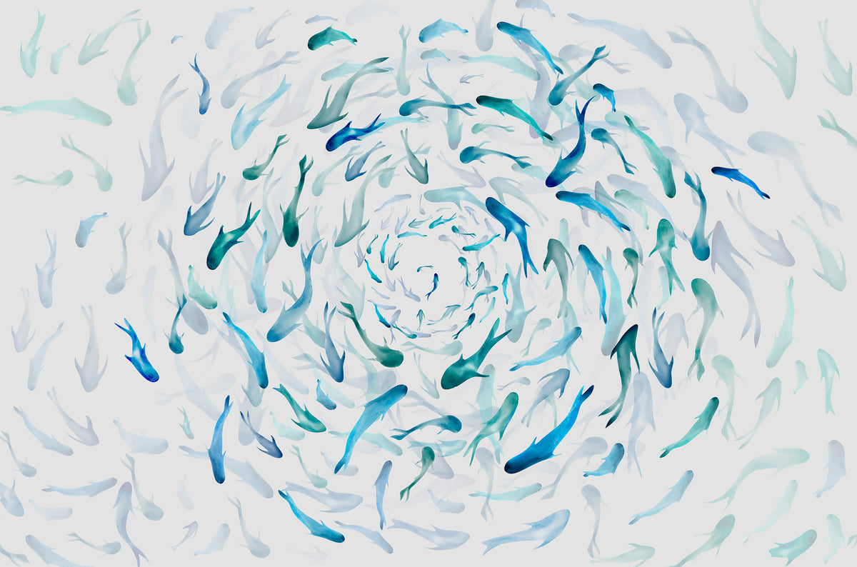 Papier peint Banc de poissons bleu et jade — mise en situation