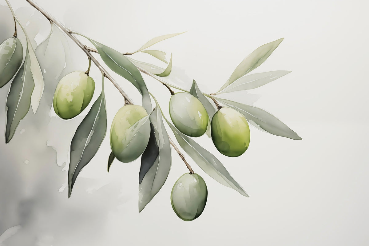 Papier peint Branche d’olives vertes — mise en situation