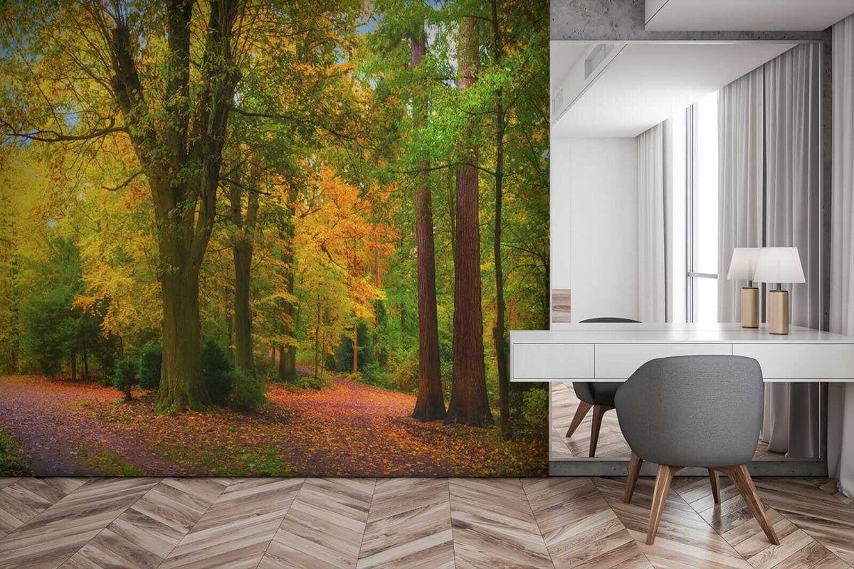 Papier peint Premiers ors d’automne — mise en situation