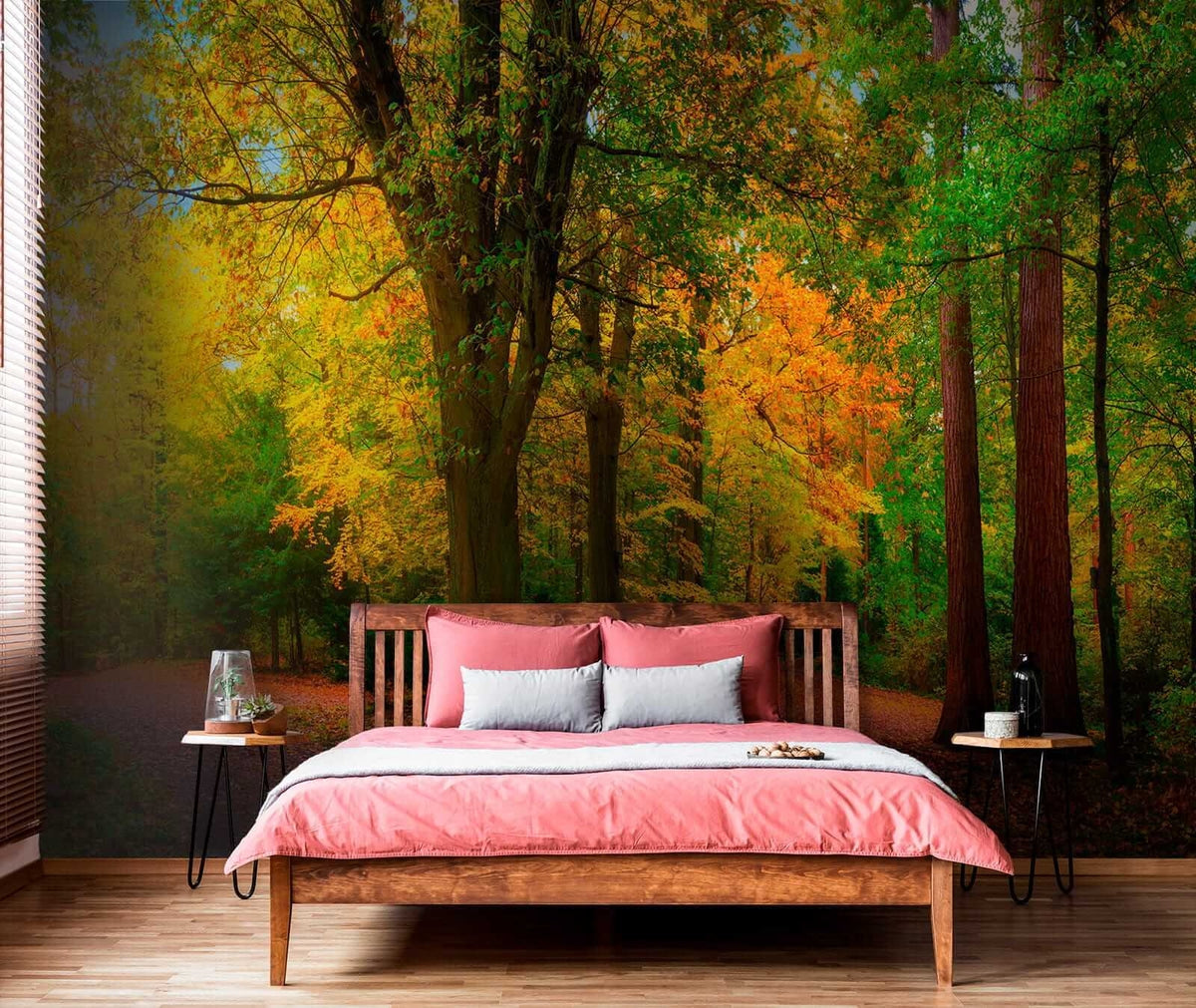 Papier peint Premiers ors d’automne