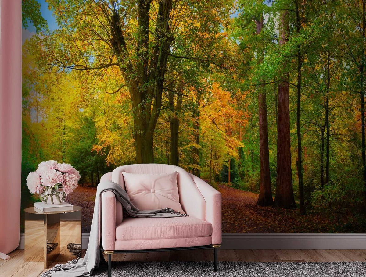 Papier peint Premiers ors d’automne