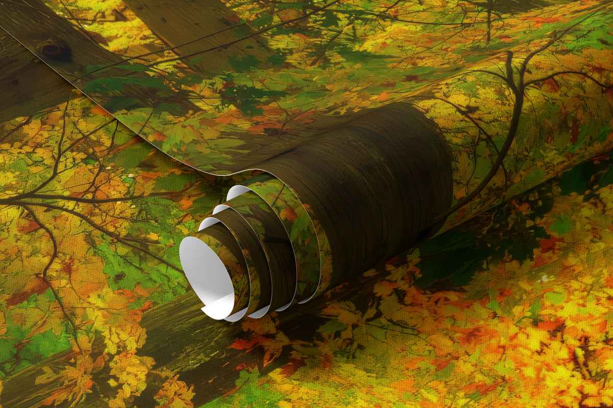 Papier peint Premiers ors d’automne