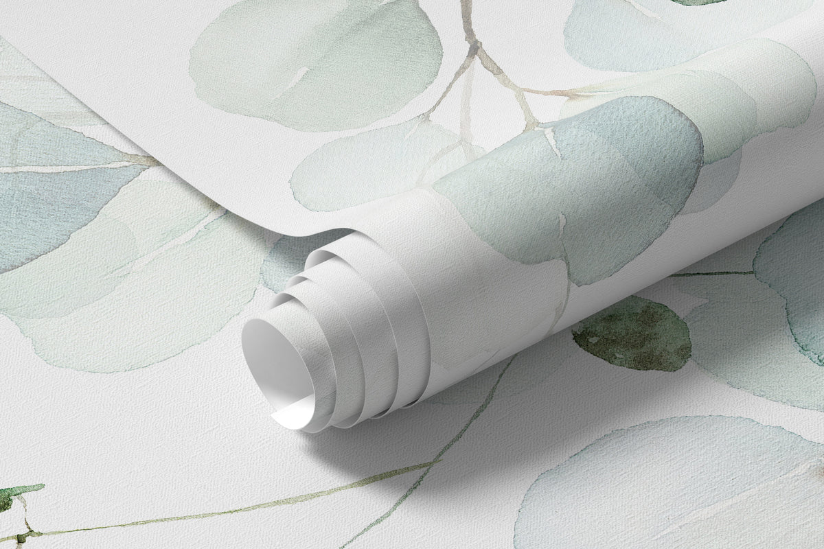 Papier peint Rameaux d’eucalyptus