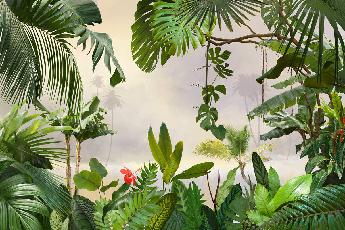 Papier peint Cadre de feuillage tropical