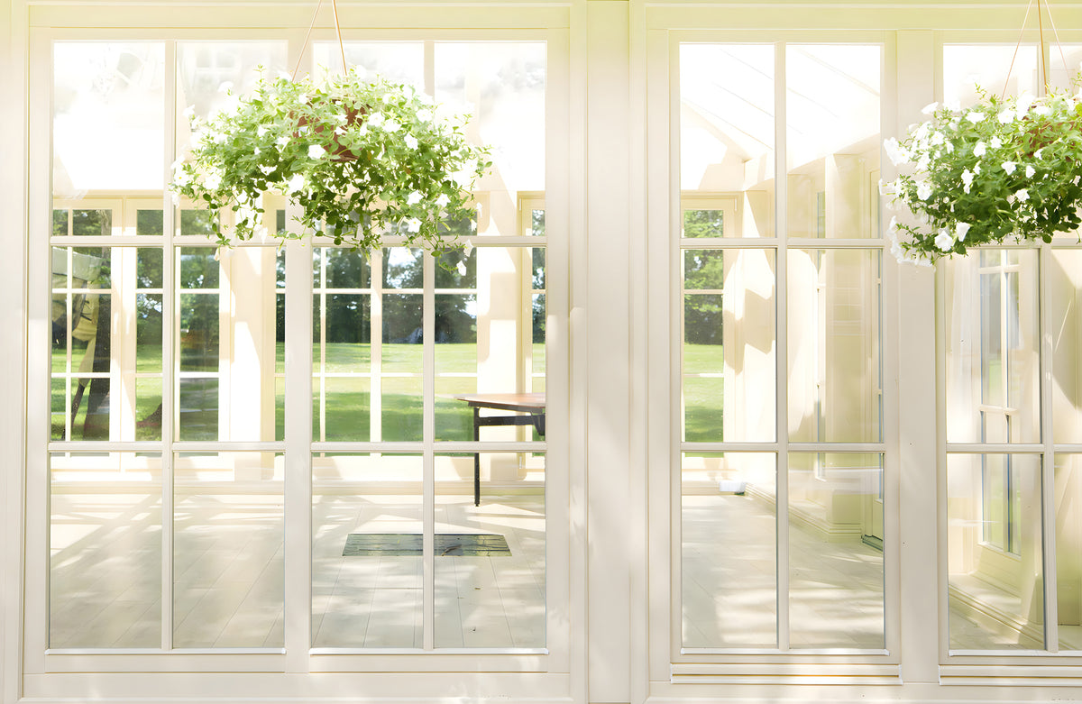 Papier peint Orangerie au soleil