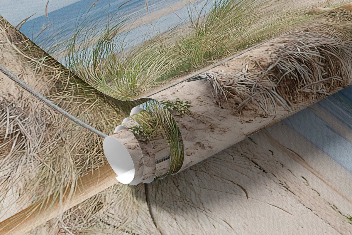 Papier peint Sentier des dunes
