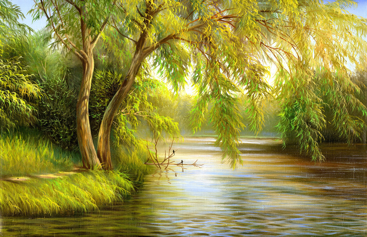 Papier peint Saule au bord de l’eau