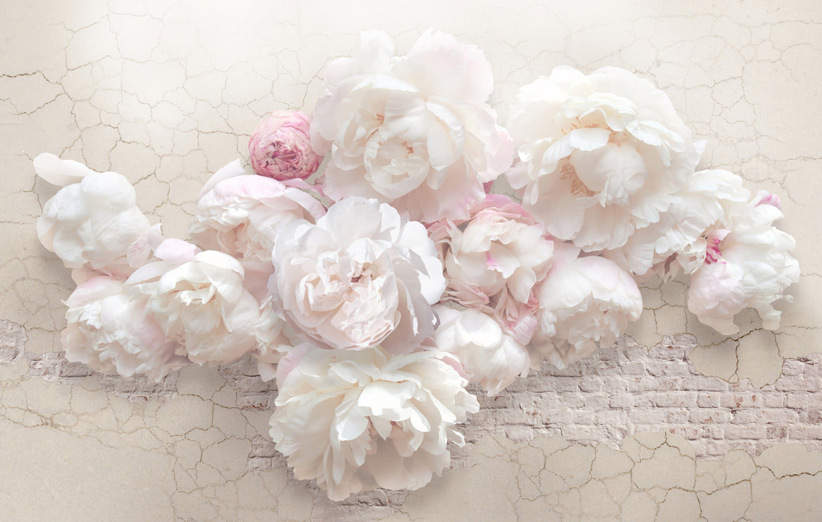 Papier peint Pivoines sur enduit patiné