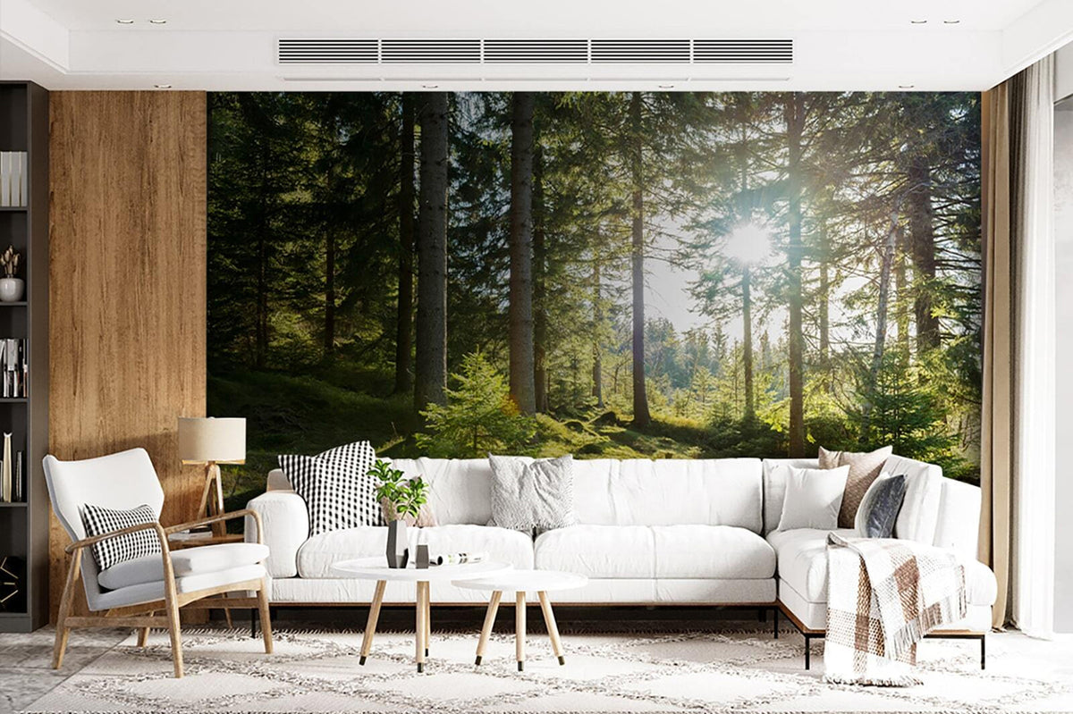 Papier peint Rayons de soleil en forêt