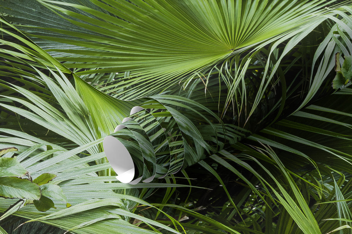 Papier peint Feuilles de jungle luxuriante