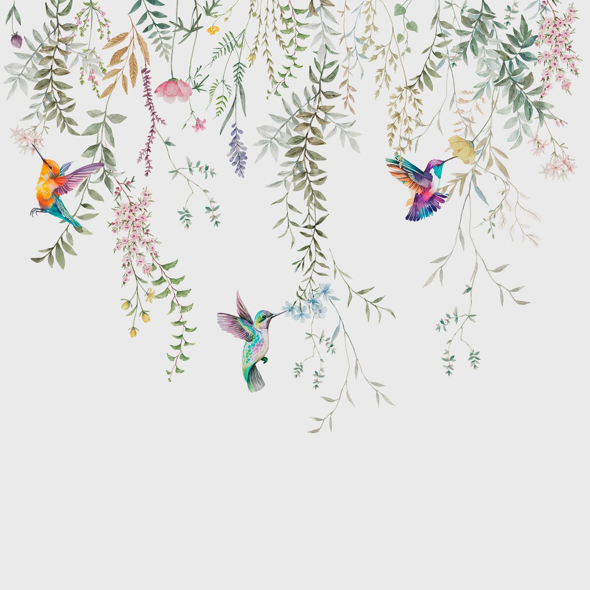 Papier peint Colibris en vol — mise en situation