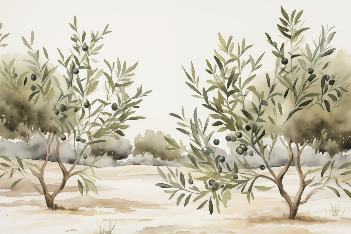 Papier peint Rameaux d’olivier et collines — mise en situation