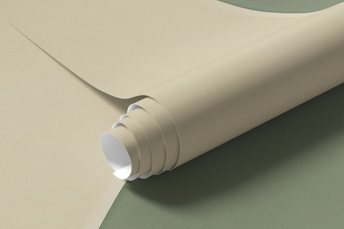 Papier peint Aplats argile et olive