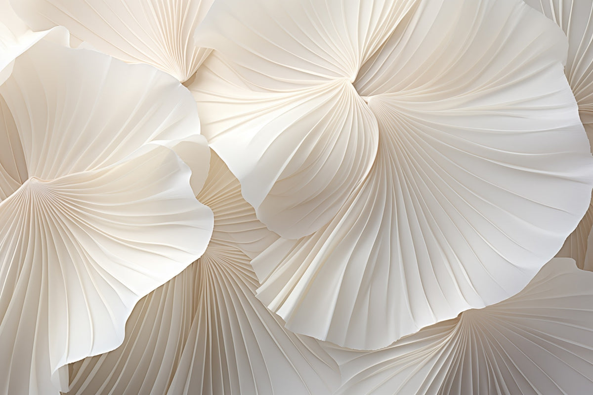 Papier peint Pétales plissés