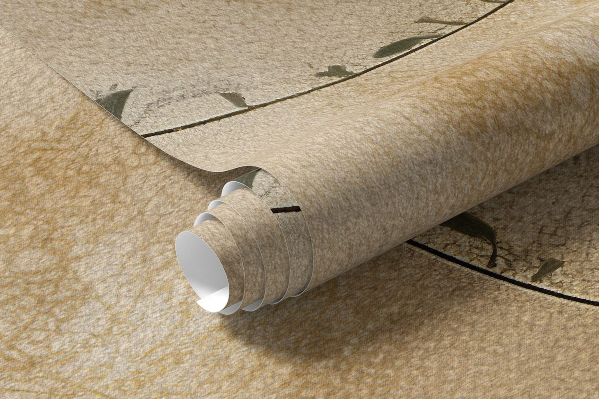 Papier peint Lierre sur les arches patinées