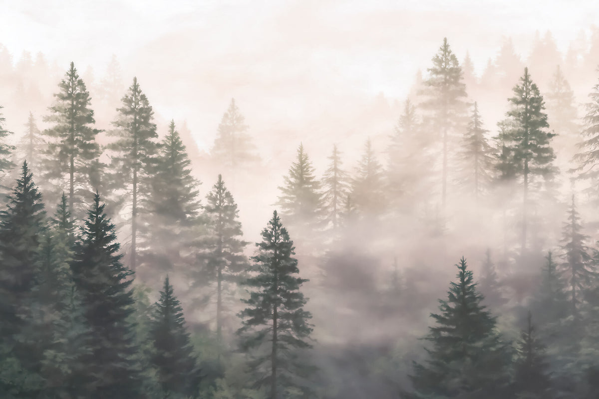 Papier peint Voile de brume en forêt — mise en situation